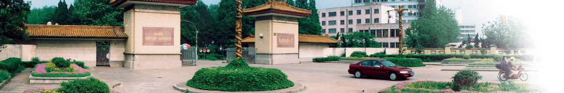 南林MBA招生资讯